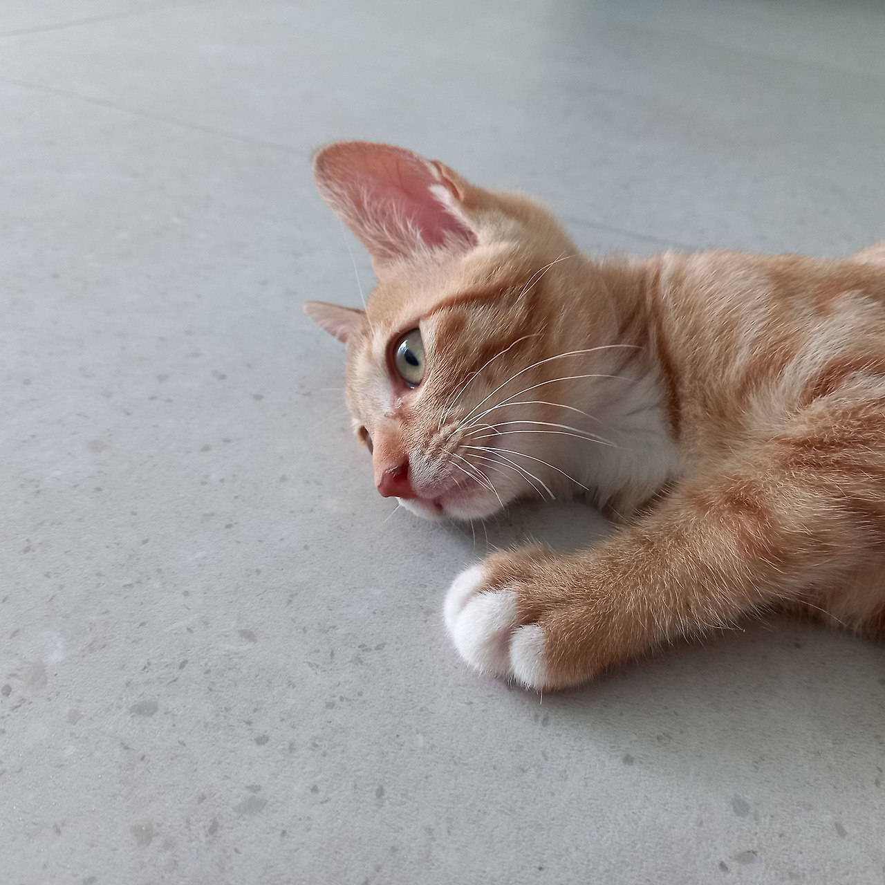 20230819_131013 (2).jpg