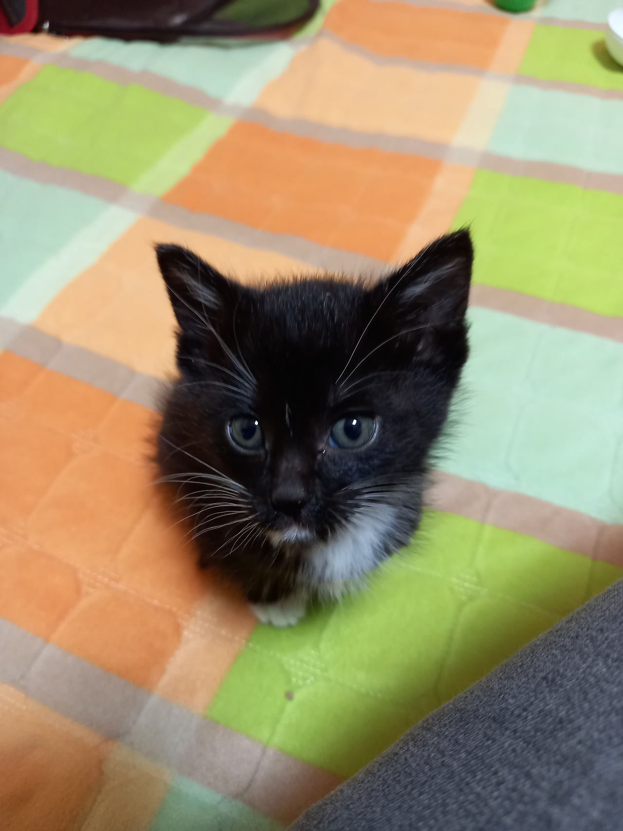 20221110_185501 (1).jpg