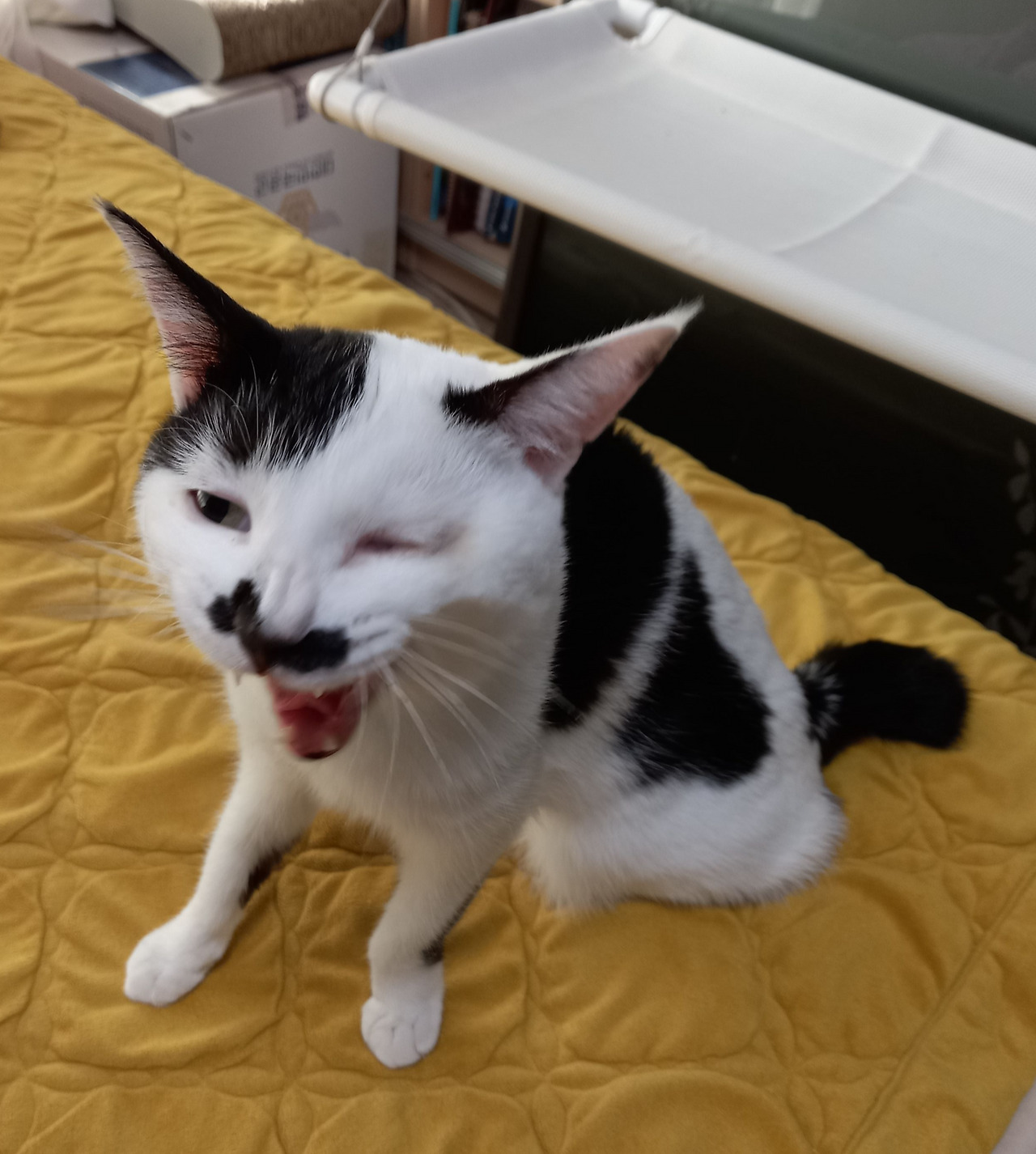 20221105_114120 (1).jpg