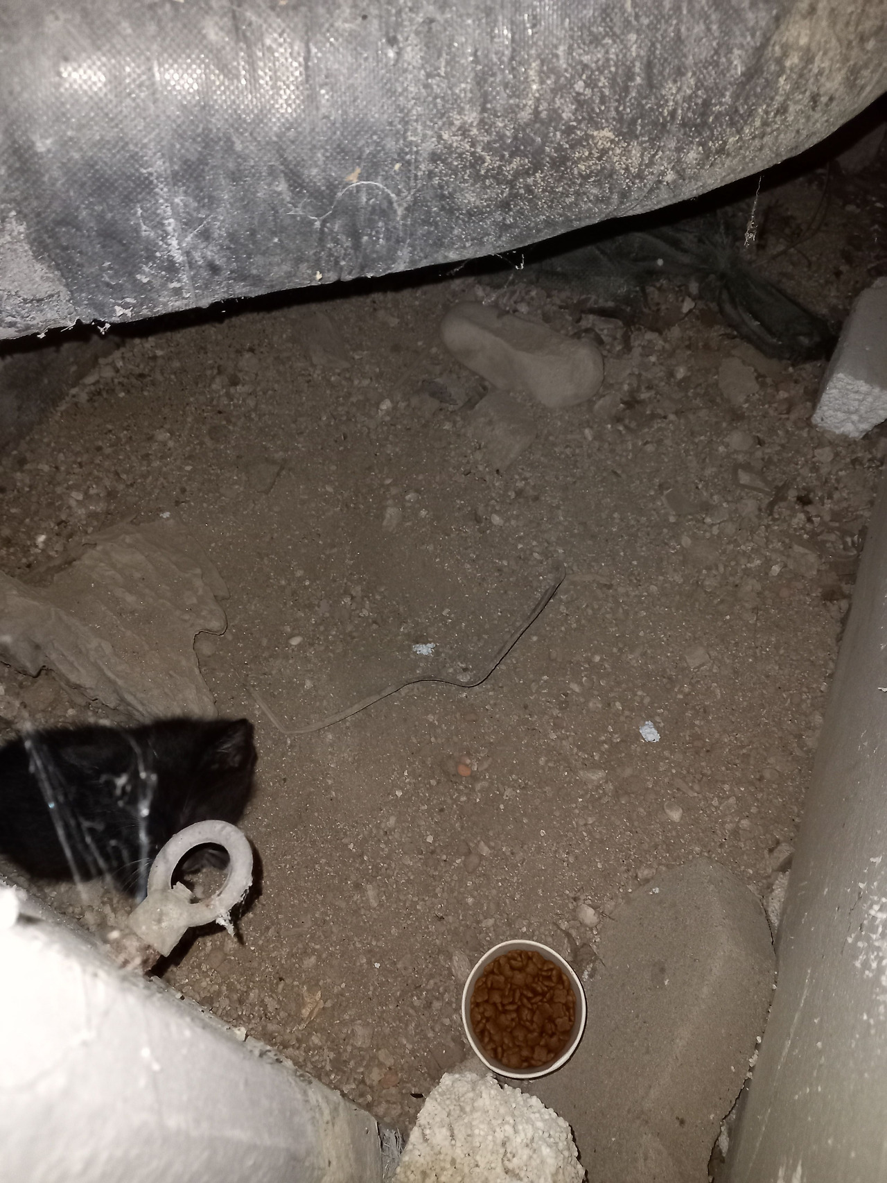 20221107_221014 (1).jpg