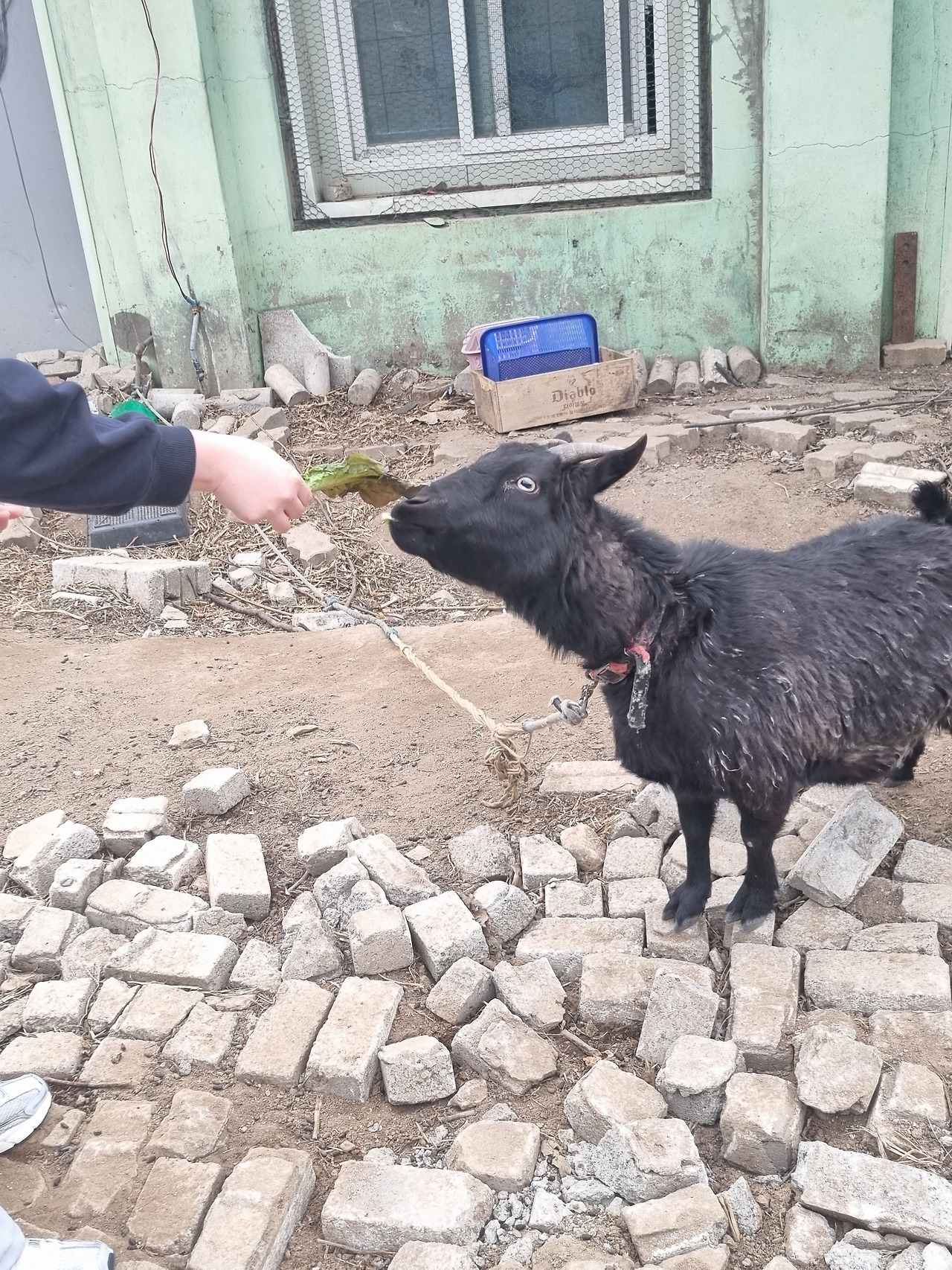 KakaoTalk_20241211_151907450_25 (1).jpg