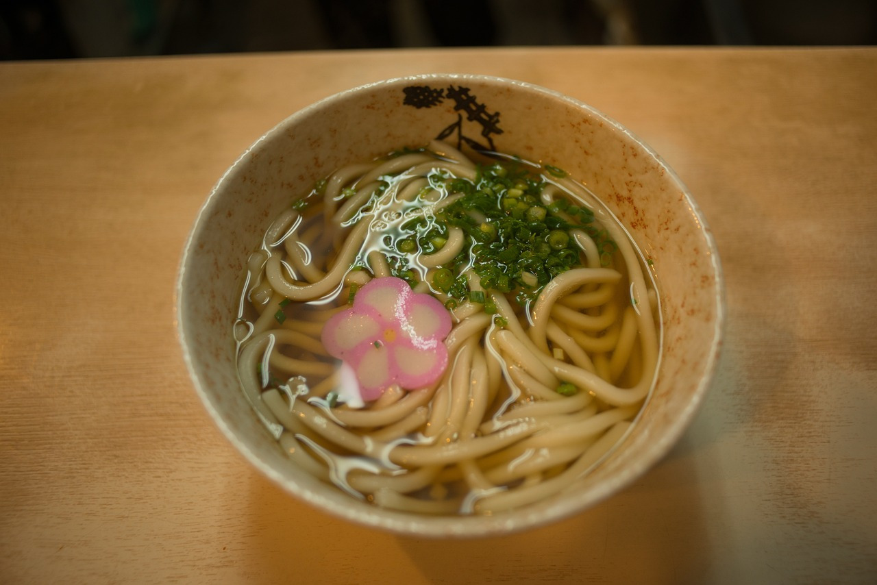 udon-noodles-1389048_1280.jpg