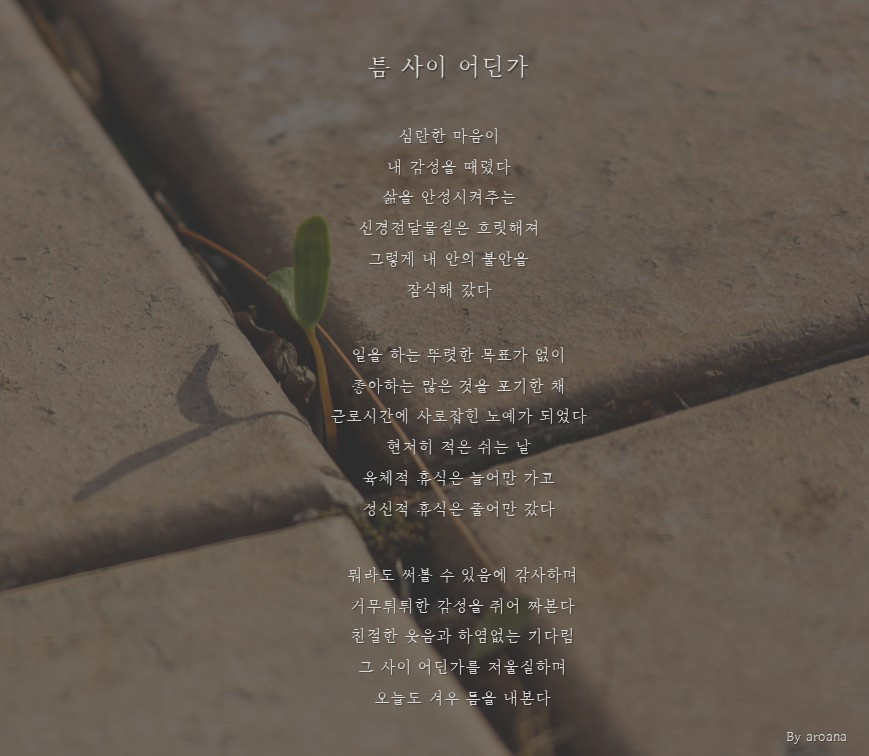 틈 사이 어딘가.jpg