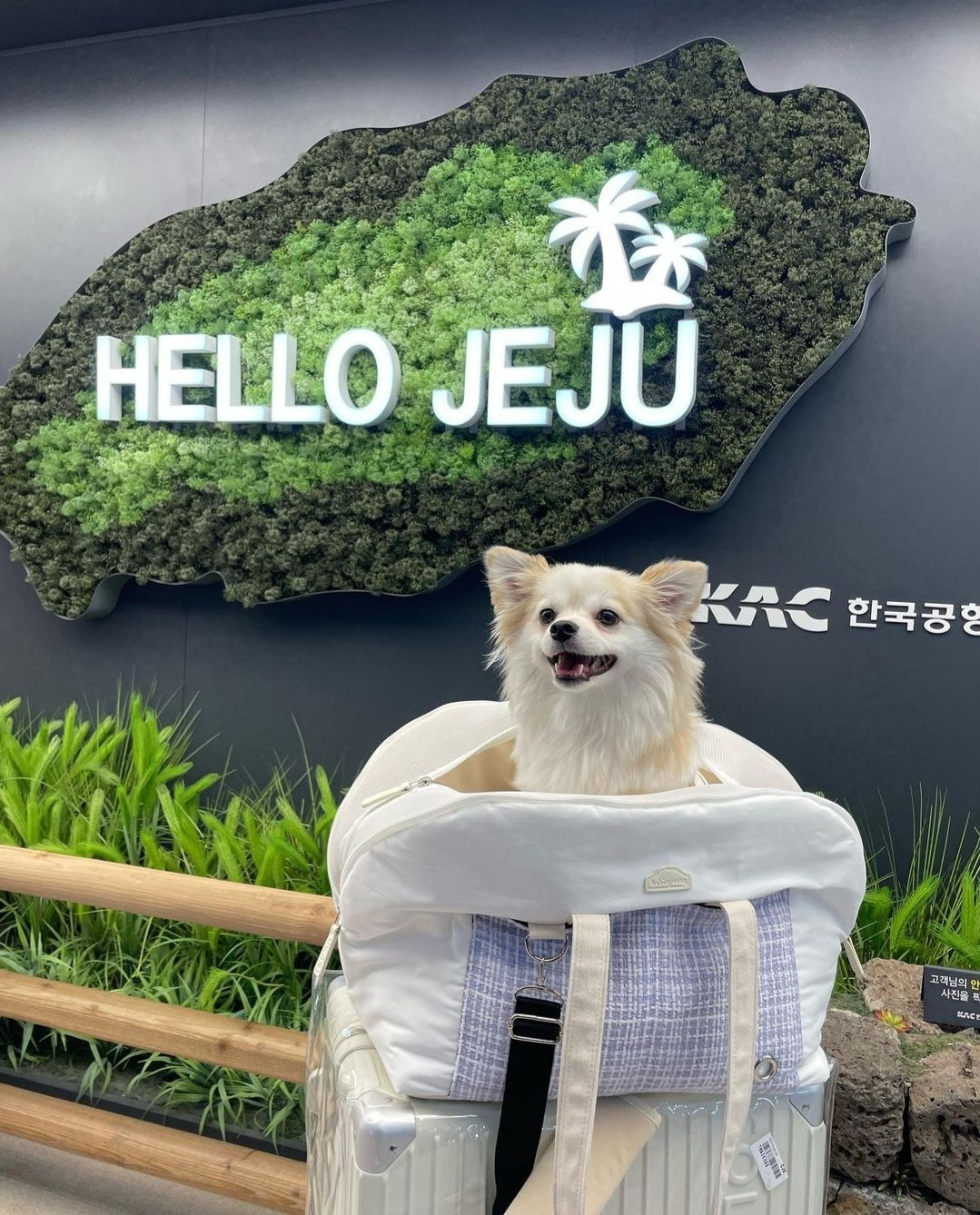 (2)바다 제주.jpg