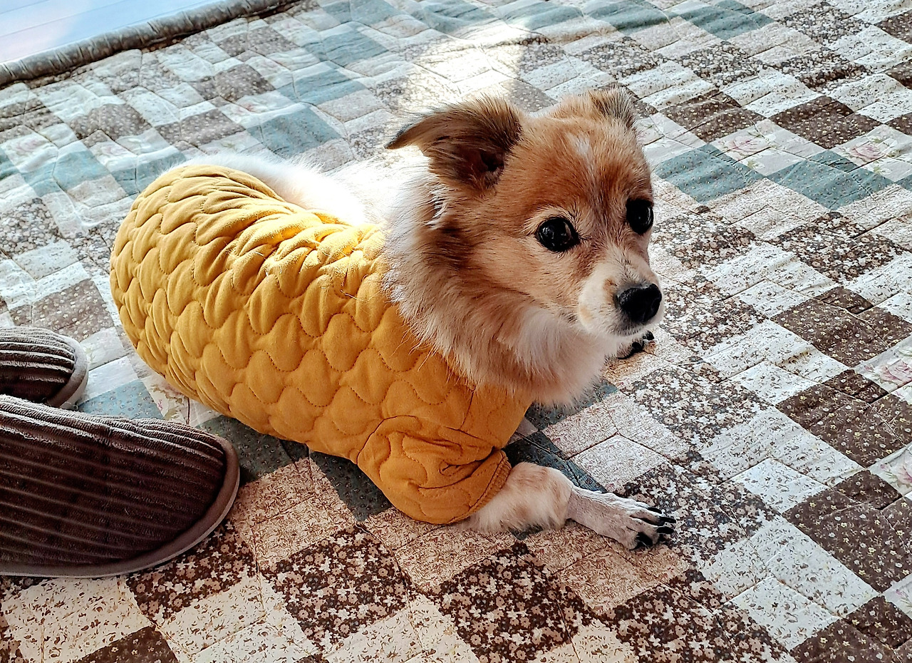 카지노 게임 사이트