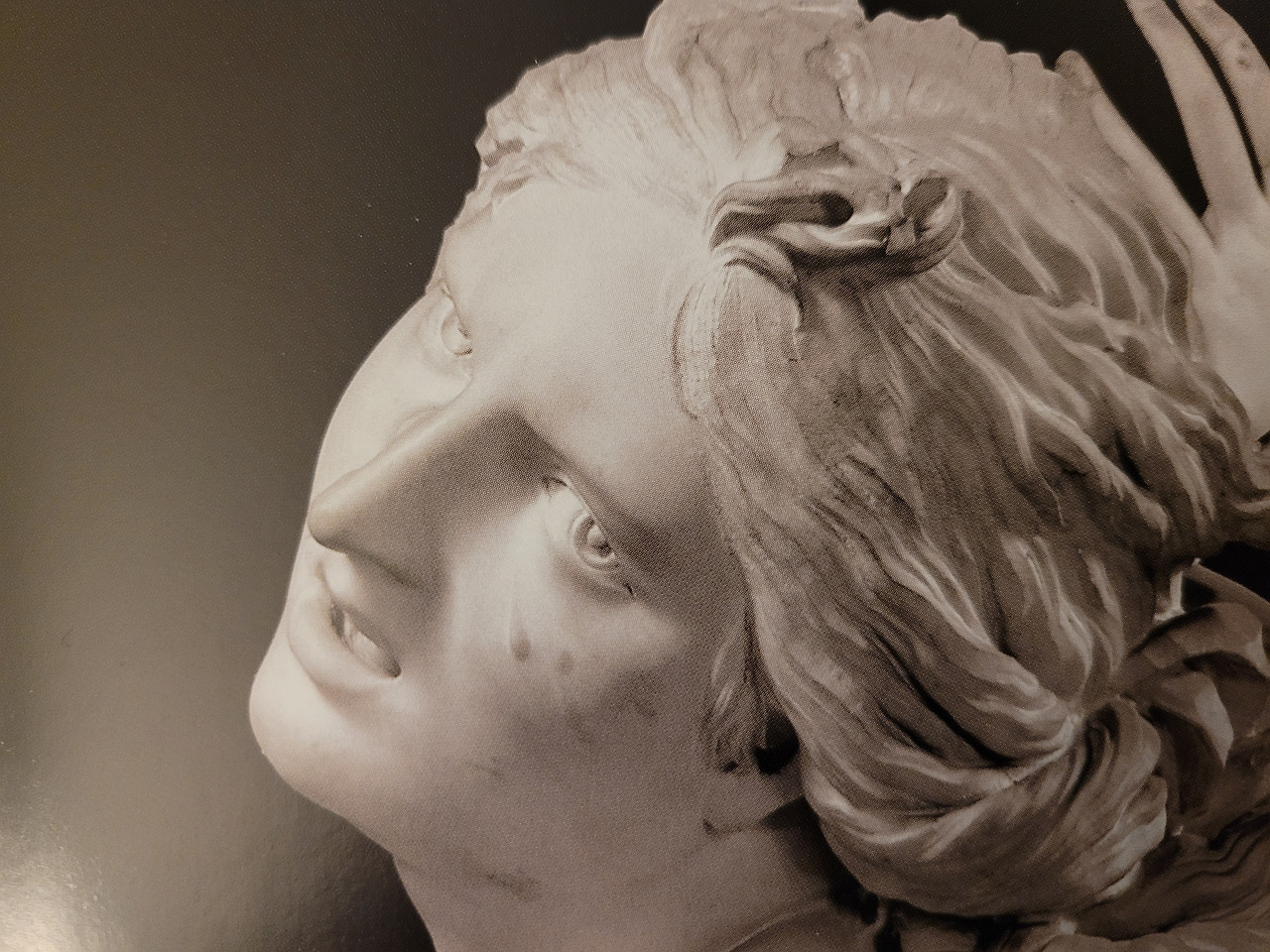 페르세포네 확대-2.jpg