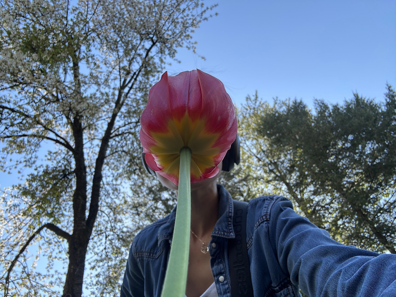 무료 카지노 게임