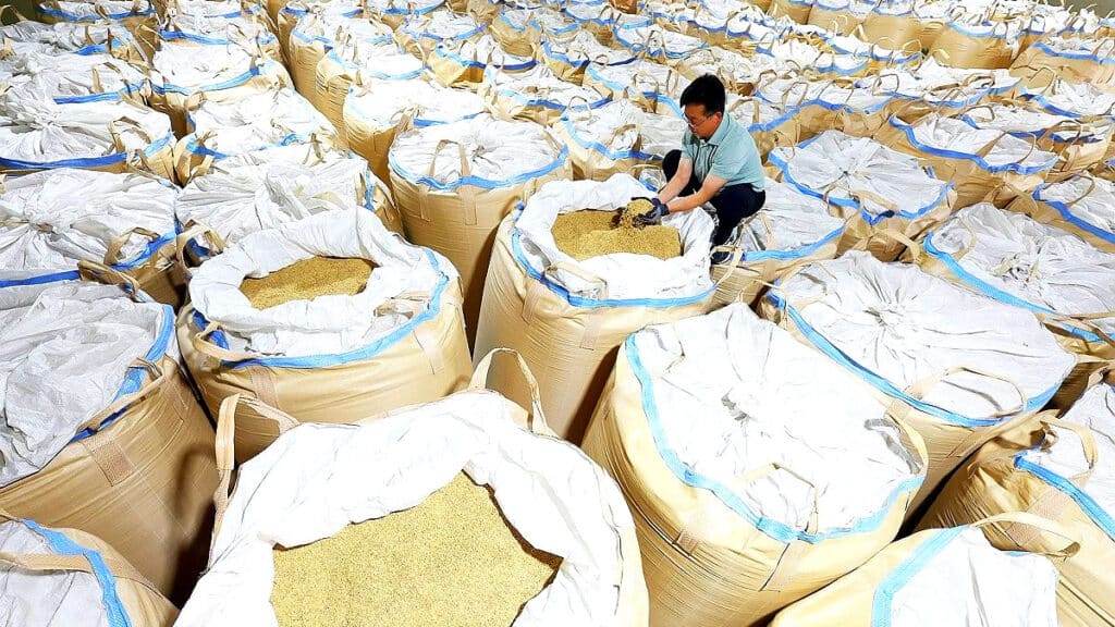 Measures-to-Surge-Rice-Prices-001-1024x576.jpg
