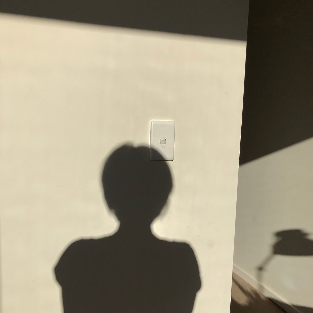 카지노 가입 쿠폰