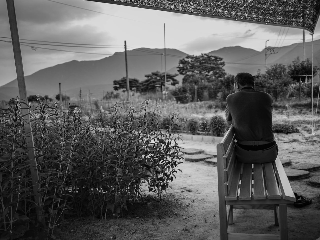 20180805 아빠 흑백.jpg