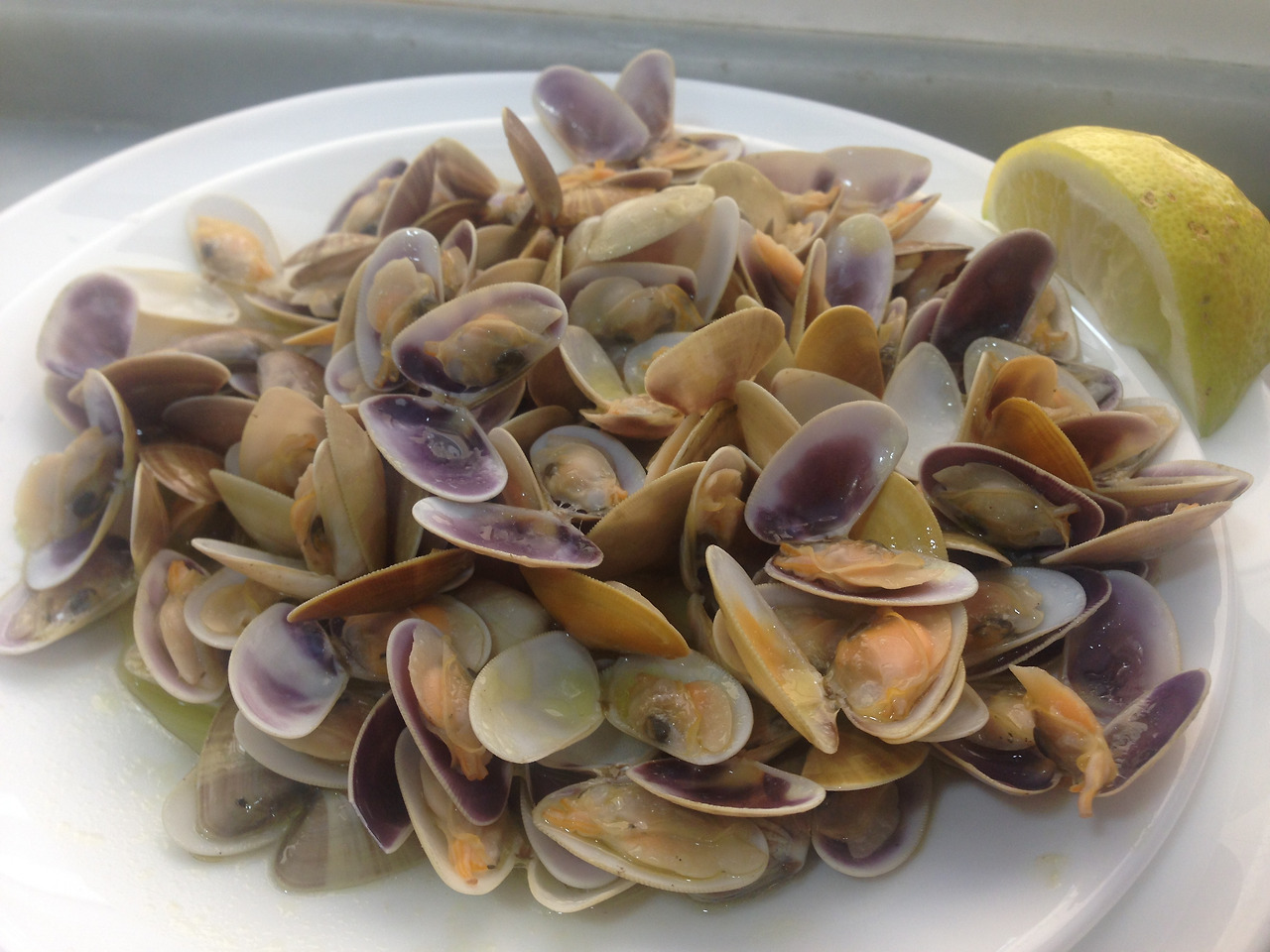 2015-05-28 14.32.46.jpg