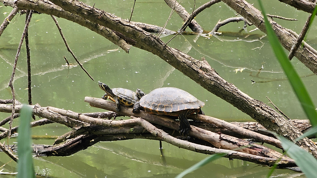 20240607_134603 (1).jpg