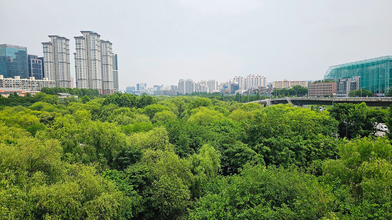 20240607_135837 (1).jpg