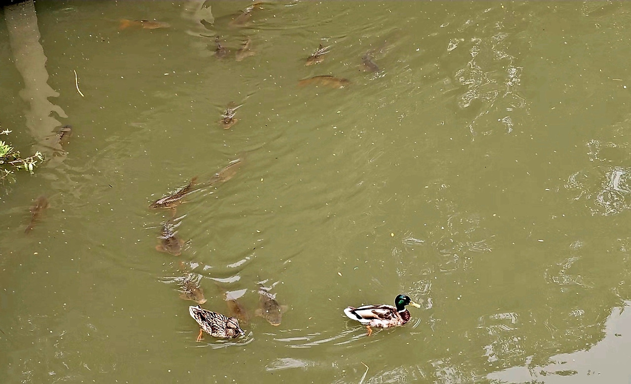 KakaoTalk_20240707_124917278 (1).jpg