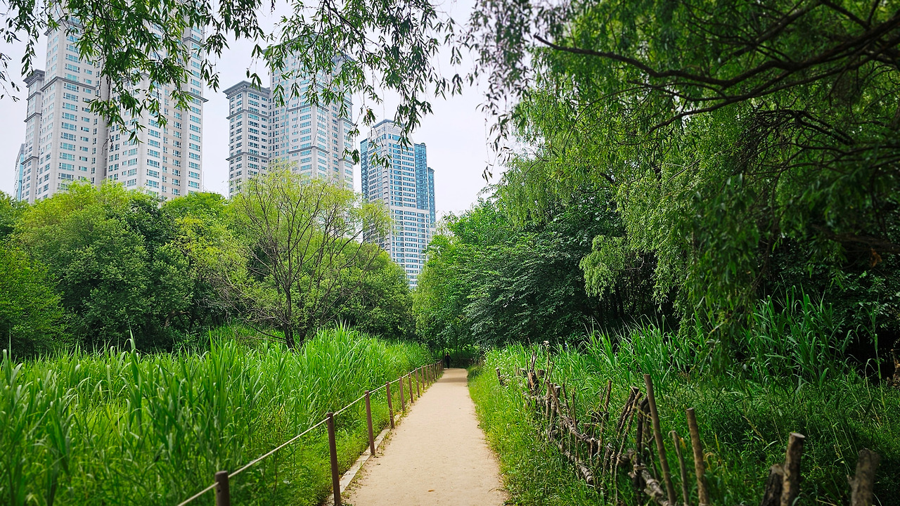 20240607_124625 (1).jpg