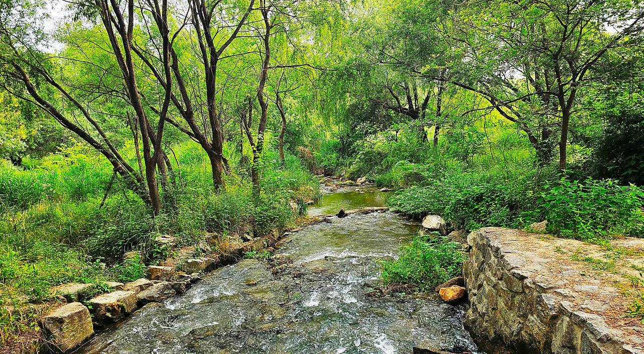 20240607_161934 (1).jpg