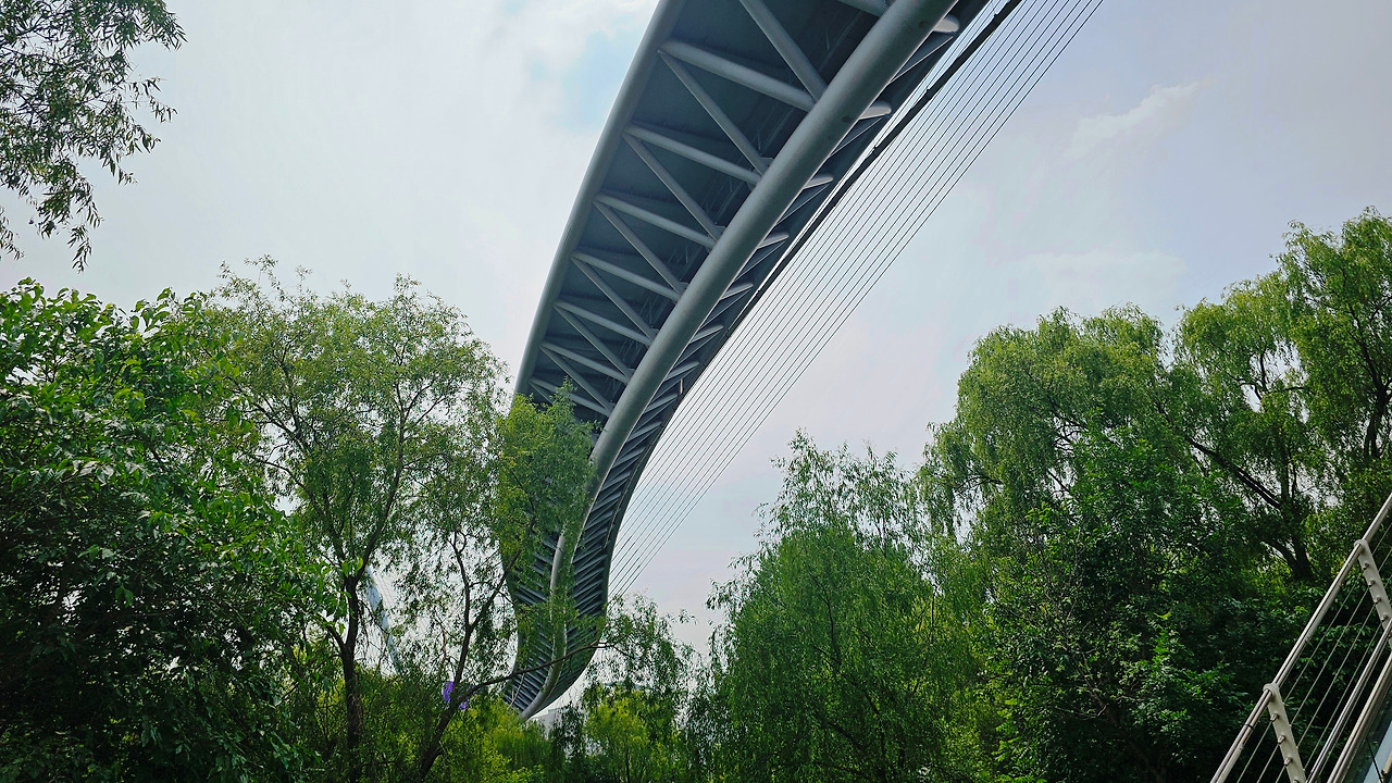 20240607_135410 (1).jpg