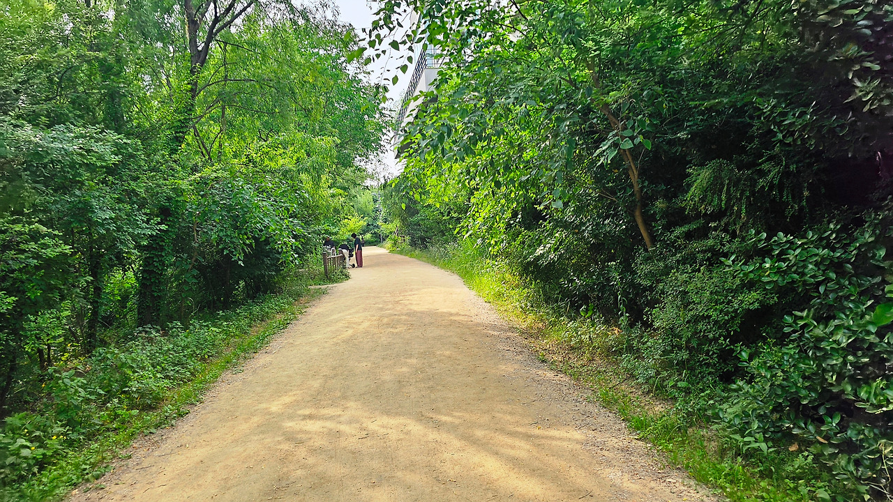 20240607_163959 (1).jpg