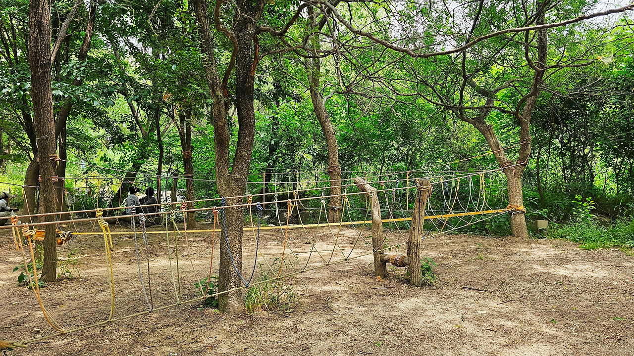 20240607_132157 (1).jpg