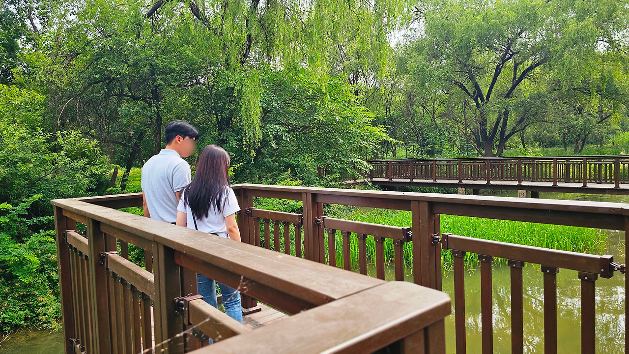 SE-5fa0171c-1674-49f2-8257-749e84428633 (1).jpg