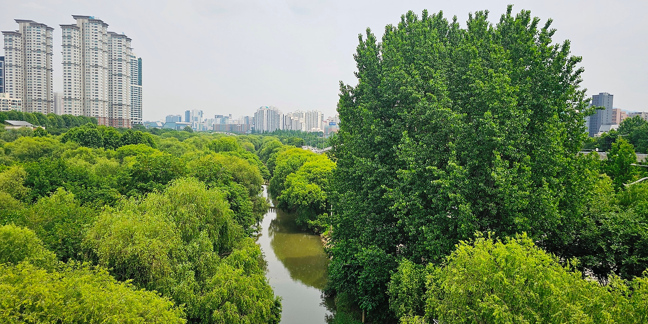 20240607_140804 (1).jpg