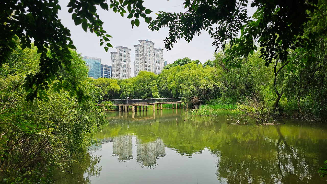 20240607_135132 (1).jpg