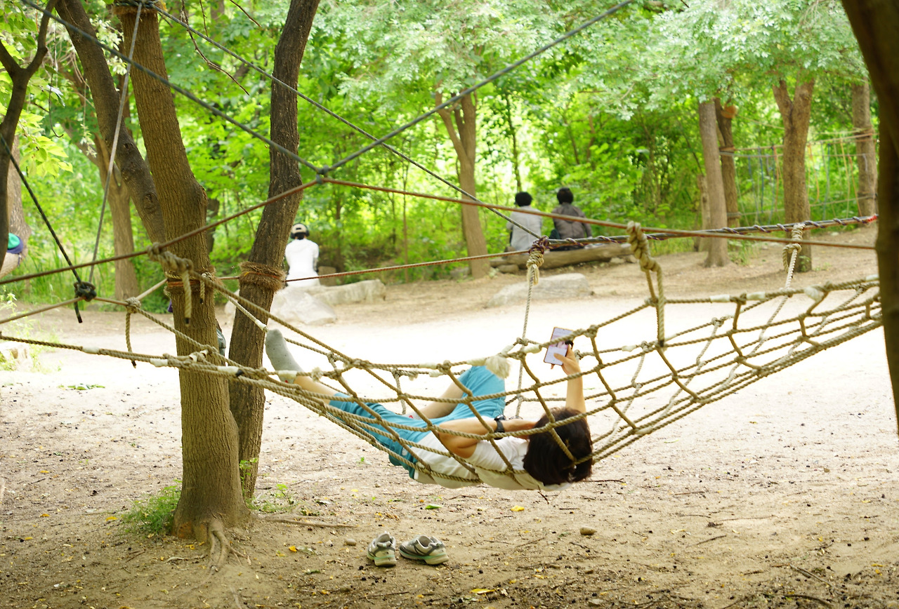 SE-dc99533b-7ca3-4276-ac55-bcbd4a8df6d8 (1).jpg