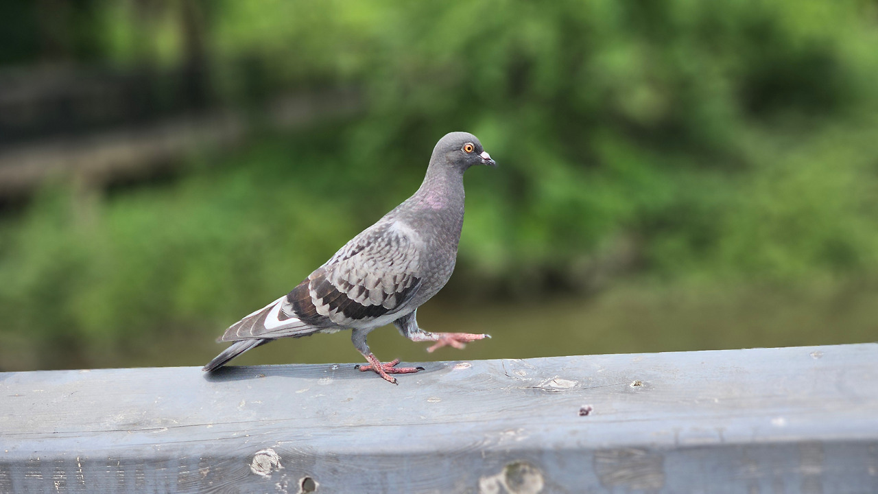 20240607_141841 (1).jpg