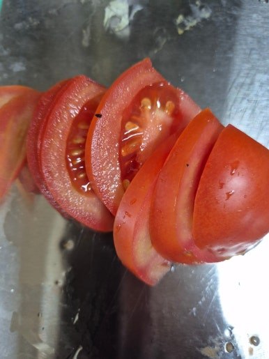 카지노 게임