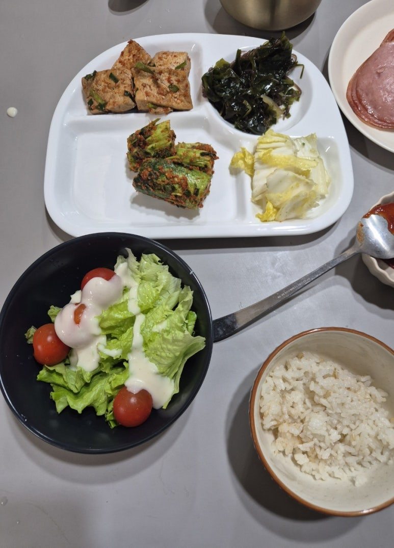 무료 카지노 게임