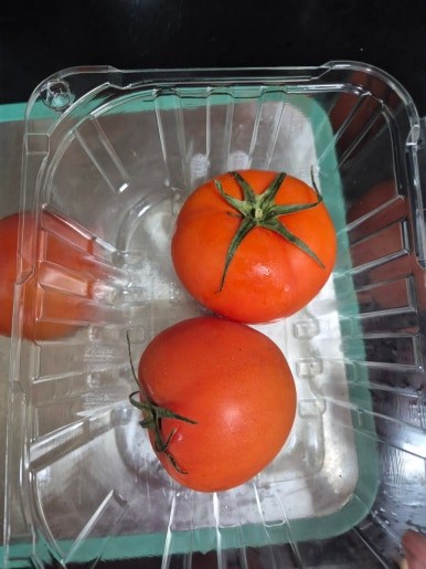 카지노 게임