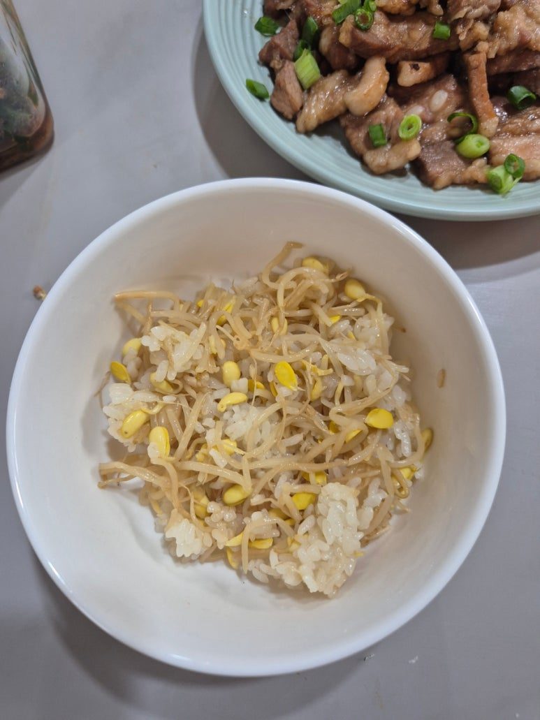 카지노 게임 사이트