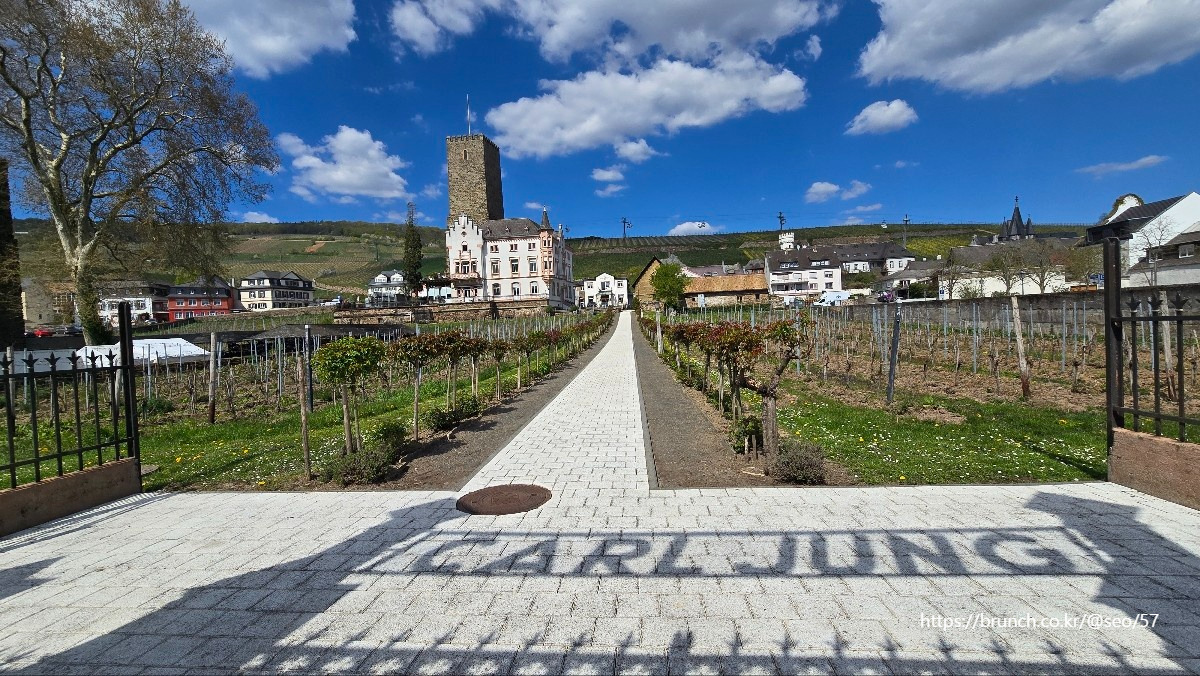 08 Apr 2025 Rudesheim  (2).jpg