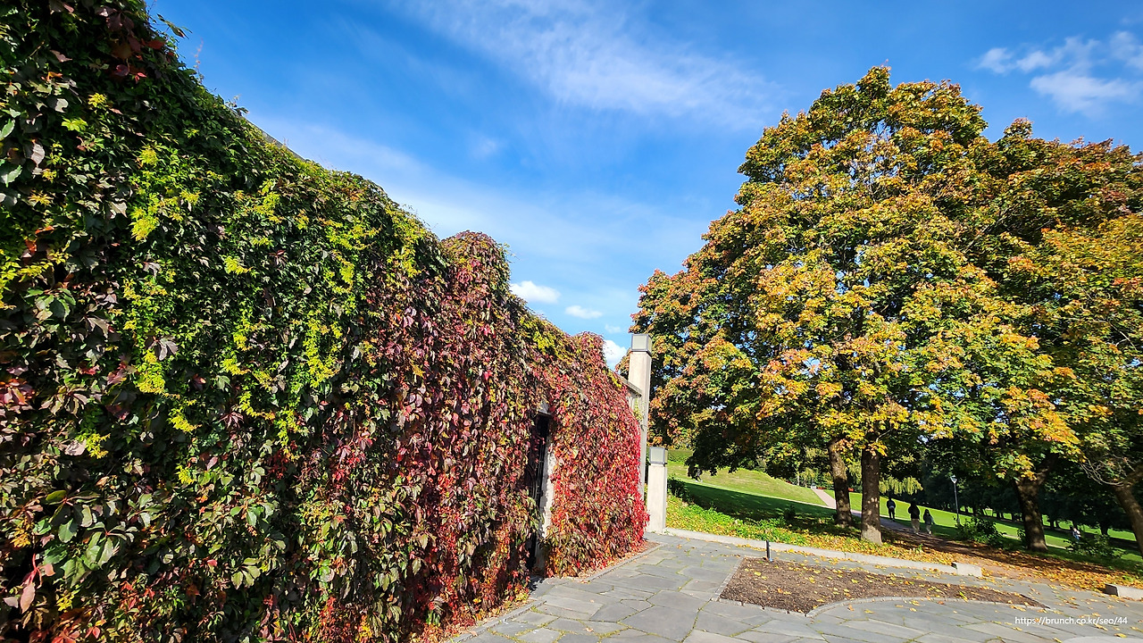 Norway 011024 (13).jpg