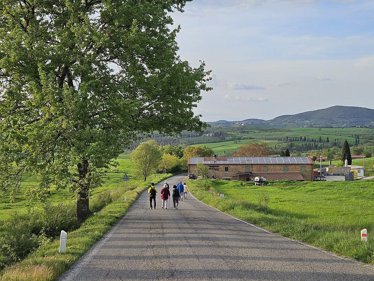 Agriturismo Il Macchione 14 (식사하러 가는 길).jpg