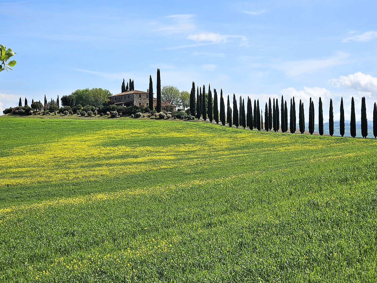 Poggio Covili 1.1.jpg