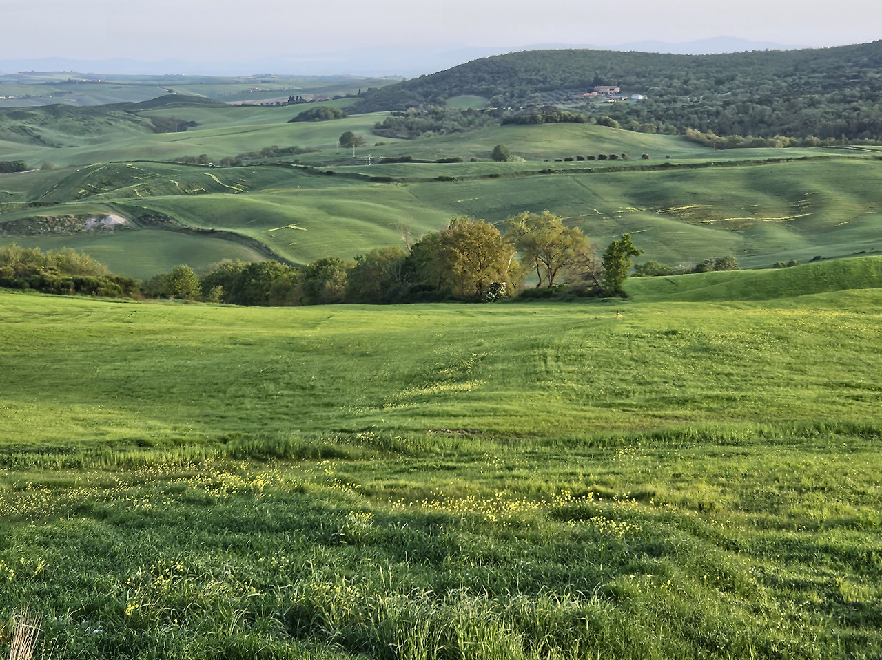 Agriturismo Il Macchione 27.jpg