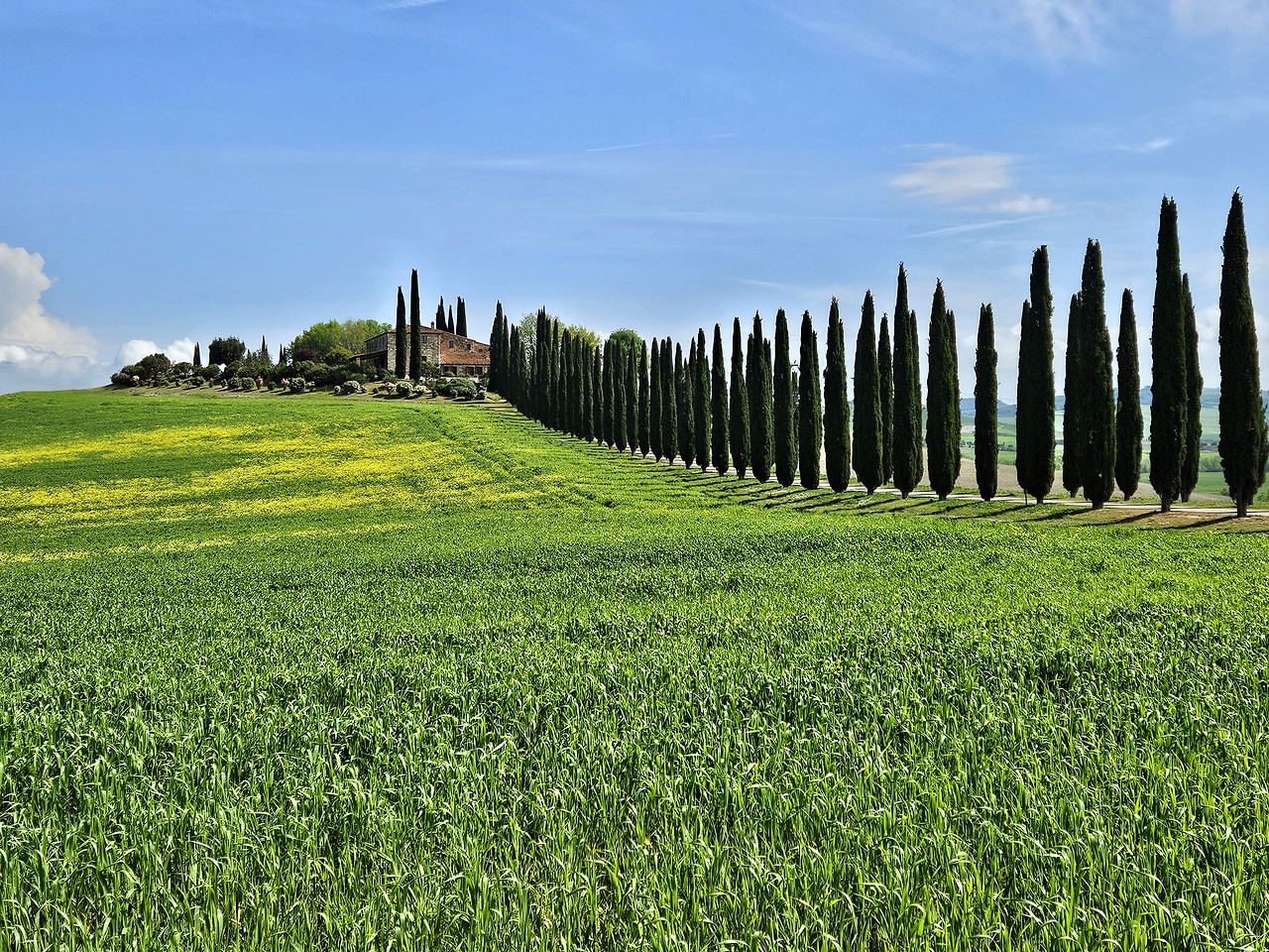 Poggio Covili  1.jpg