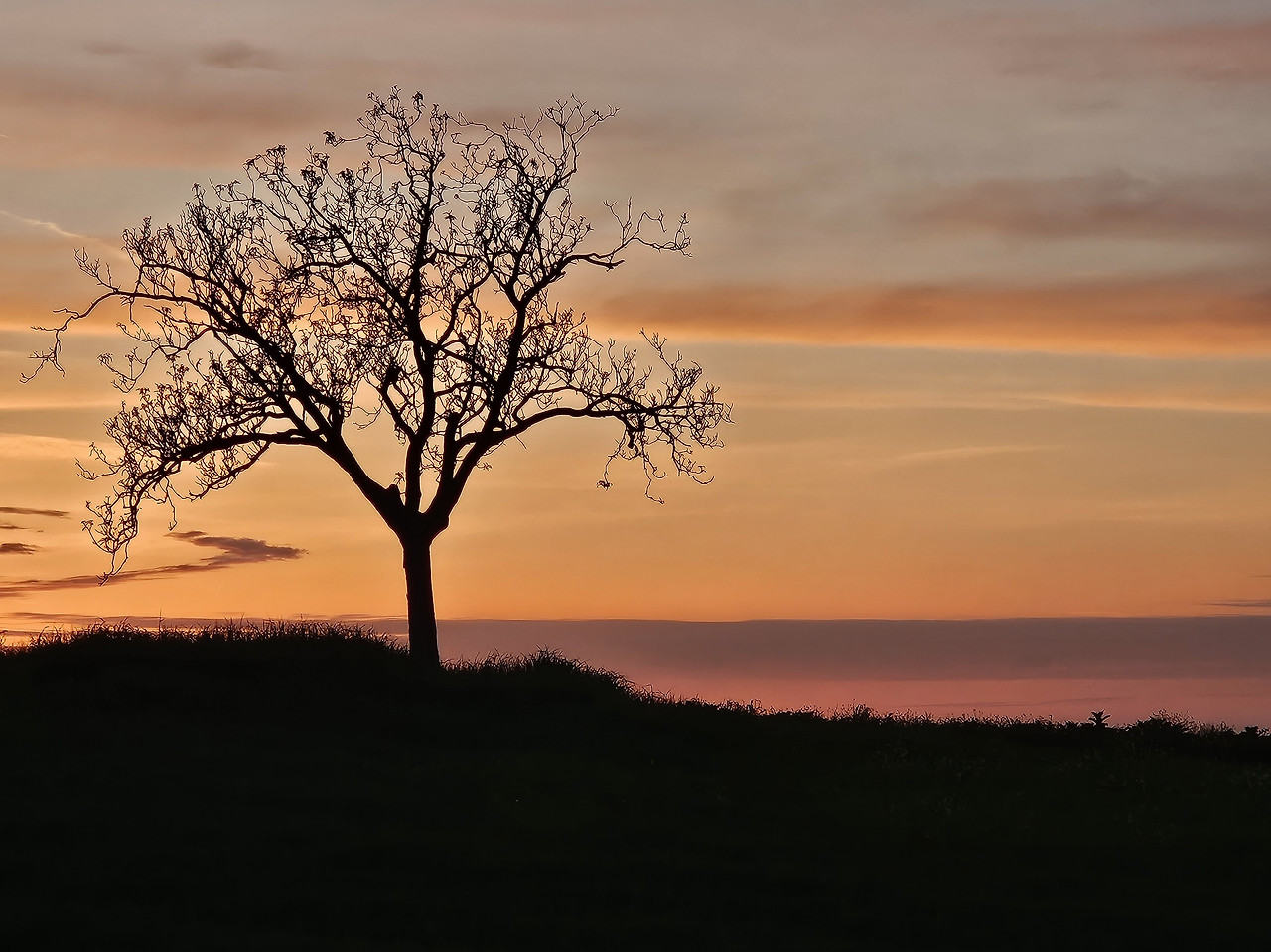 Agriturismo Il Macchione 19 (석양).jpg
