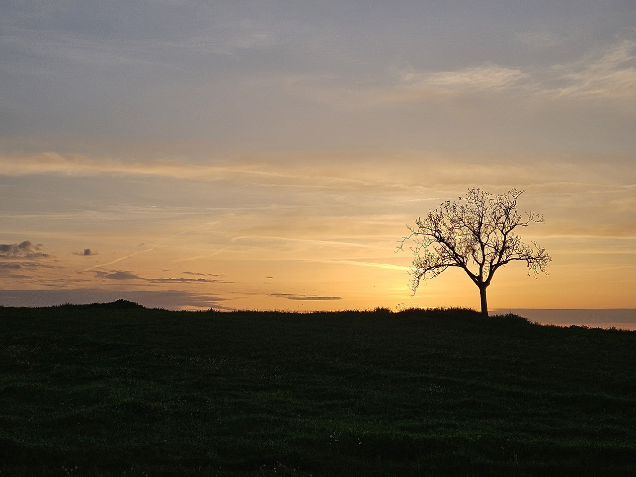 Agriturismo Il Macchione 17 (석양).jpg