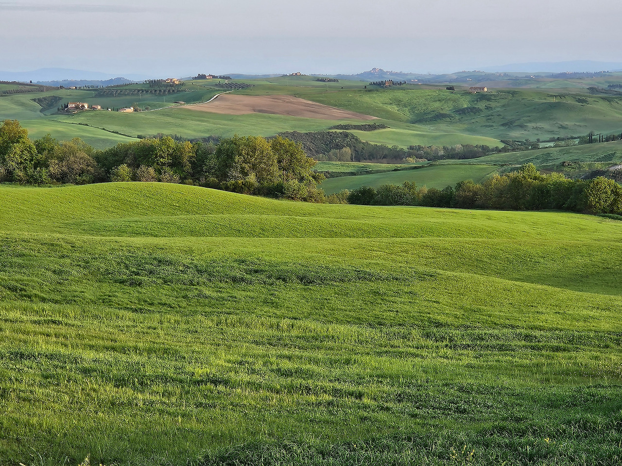 Agriturismo Il Macchione 28.jpg