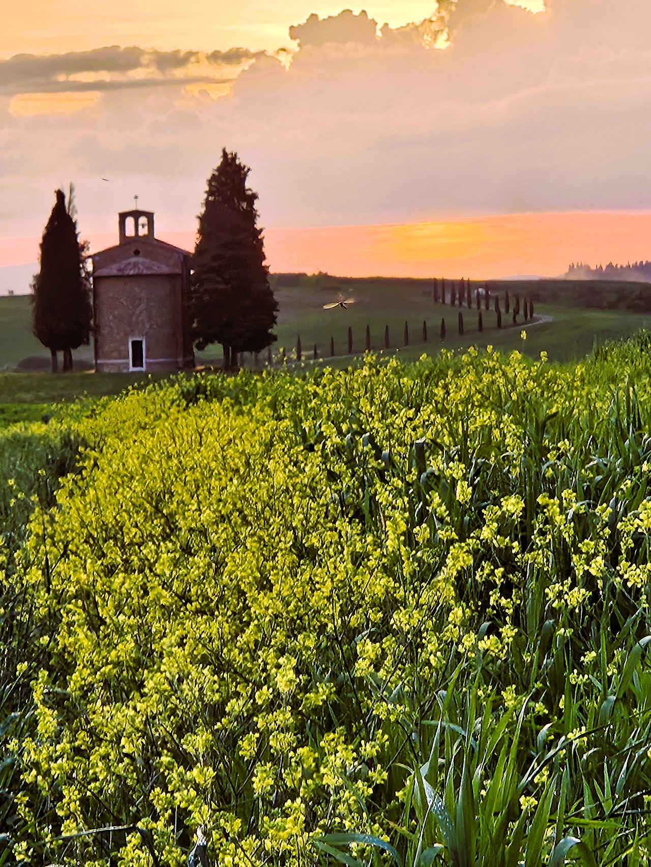 Chapel Vitalete 10 (석양).jpg