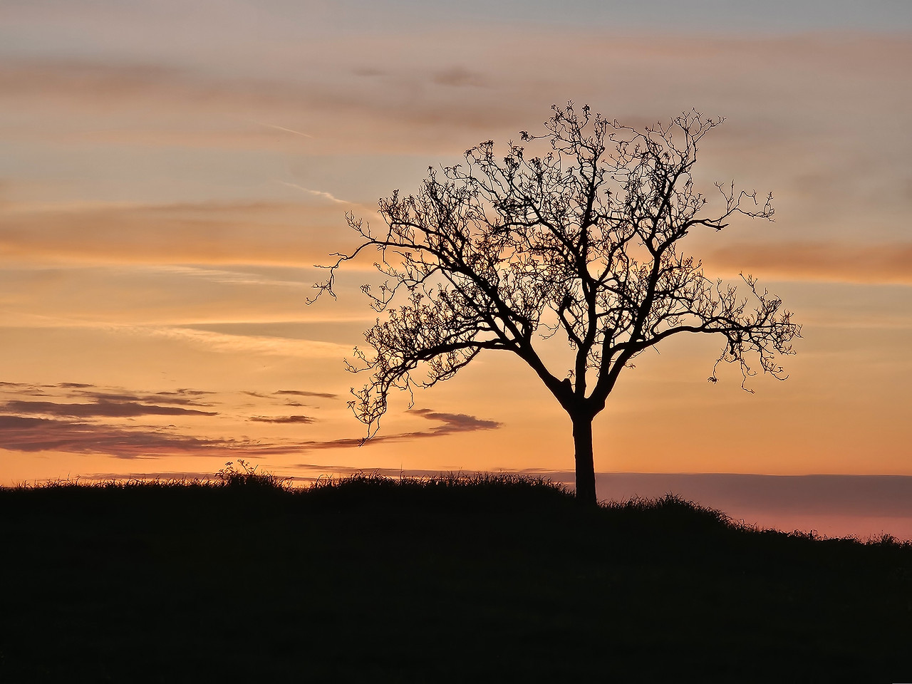 Agriturismo Il Macchione 20 (석양).jpg