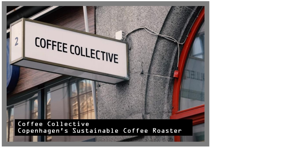 #커피물결들 영상 3.jpg