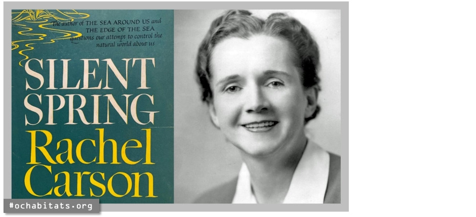 #지속가능 커피.jpg