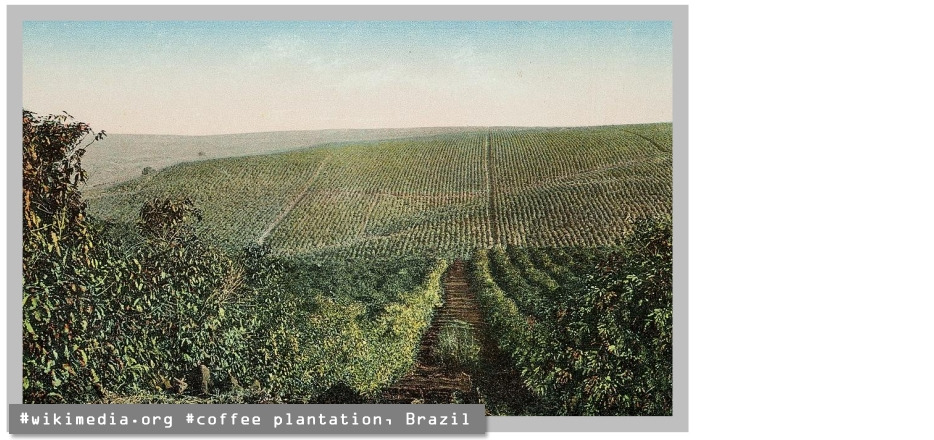 #생도맹그 산토스4.jpg