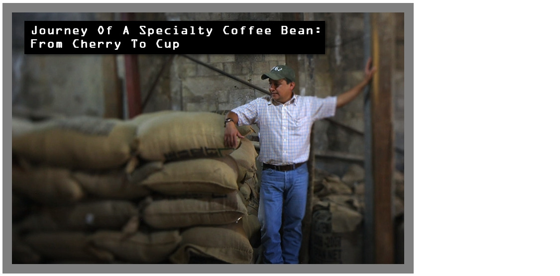 #스페셜티 영상3.jpg