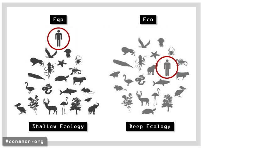 #생태주의 카페6.jpg