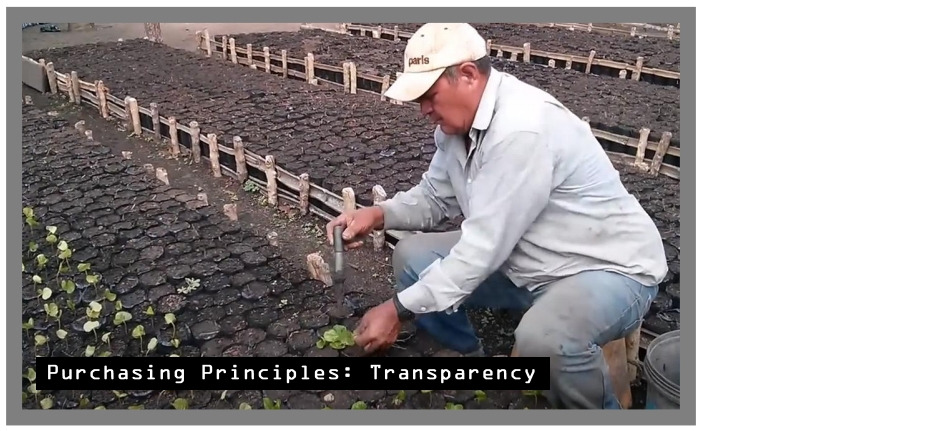 #커피물결들 영상 4.jpg