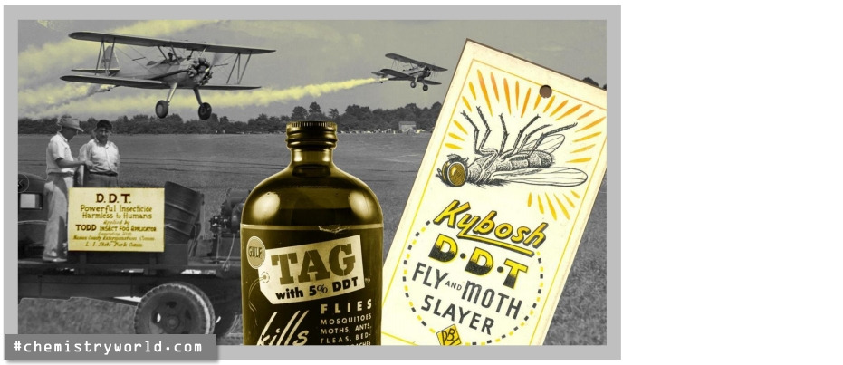 #지속가능 커피2.jpg